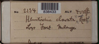 Image Associated With the Occurence